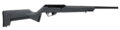 Savage RXR Rifle Rental | .22 LR | 16.5in