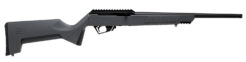 Savage RXR Rifle Rental | .22 LR | 16.5in