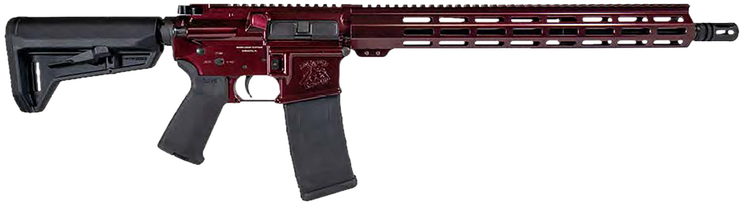 Shark Coast Tactical Blaze Semi-Auto Rifle Rental | 5.56 NATO | 16in