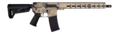 Shark Coast Tactical Hold Fast Semi-Auto Rifle Rental | 5.56 NATO | 16in