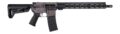 Shark Coast Tactical Holmes Semi-Auto Rifle Rental | 5.56 NATO | 16in