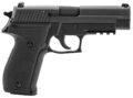 Sig Sauer P226 MK25 Pistol Rental | 9mm | 4.4in