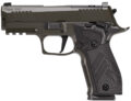 Sig Sauer P226X Legion Pistol Rental | 9mm | 3.8in | Legion Gray Cerakote