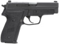 Sig Sauer P229 M11-A1 Pistol Rental | 9mm | 3.9in