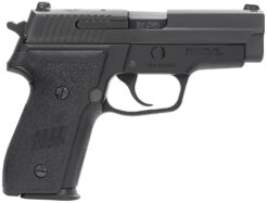Sig Sauer P229 M11-A1 Pistol Rental | 9mm | 3.9in
