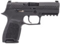 Sig Sauer P320 Pistol Rental | 9mm | 3.9in