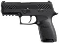 Sig Sauer P320 Compact Pistol Rental | .45 ACP | 3.9in
