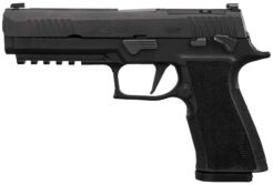 Sig Sauer P320 XTen Pistol Rental | 10mm Auto | 5in | Black