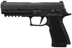 Sig Sauer P320 XTen Pistol Rental | 10mm Auto | 5in | 320X510BXR3R2MS10