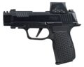 Sig Sauer P365 AXG LUXE w/Optic Pistol Rental | .380 ACP | 3.1in