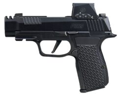 Sig Sauer P365 AXG LUXE w/Optic Pistol Rental | .380 ACP | 3.1in