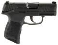Sig Sauer P365 *MA Compliant Pistol Rental | .380 ACP | 3.1in