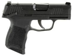 Sig Sauer P365 *MA Compliant Pistol Rental | .380 ACP | 3.1in