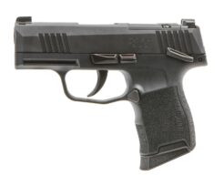 Sig Sauer P365X *MA Compliant Pistol Rental | 9mm | 3.1in