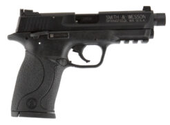 Smith & Wesson M&P 22 Pistol Rental | .22 LR | 3.5in