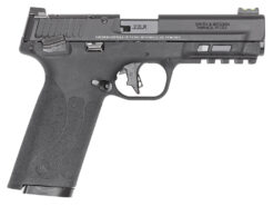 Smith & Wesson M&P 22x Pistol Rental | .22 LR | 4.1in