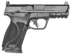 Smith & Wesson M&P M2.0 Pistol Rental | 10mm Auto | 4in