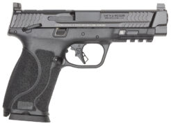 Smith & Wesson M&P M2.0 Pistol Rental | 10mm Auto | 4.6in