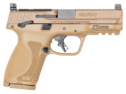 Smith & Wesson M&P M2.0 M2.0 Pistol Rental | 9mm | 4in | Flat Dark Earth