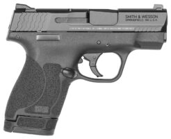 Smith & Wesson M&P M2.0 Shield Pistol Rental | .40 S&W | 3.1in