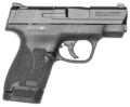 Smith & Wesson M&P M2.0 Shield Pistol Rental | .40 S&W | 3.1in | Black
