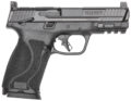 Smith & Wesson M&P M2.0 *State Compliant Pistol Rental | 10mm Auto | 4in