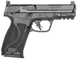 Smith & Wesson M&P M2.0 *State Compliant Pistol Rental | 10mm Auto | 4in