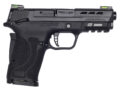 Smith & Wesson M&P Performance Center Shield EZ Pistol Rental | 9mm | 3.8in