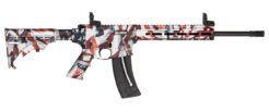 Smith & Wesson M&P15-22 Sport Flag Semi-Auto Rifle Rental | .22 LR | 16.5in
