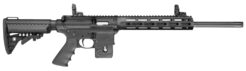 Smith & Wesson M&P15 PC Sport Semi-Auto Rifle Rental | .22 LR | 18in