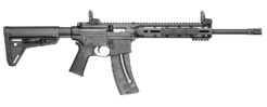 Smith & Wesson M&P15 Sport Semi-Auto Rifle Rental | .22 LR | 16.5in
