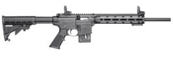 Smith & Wesson M&P15 Sport *State Compliant Semi-Auto Rifle Rental | .22 LR | 16.5in