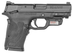 Smith & Wesson M&P9 SHIELD EZ M2.0 Shield EZ M2.0 w/Optic Pistol Rental | 9mm | 3.67in
