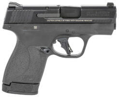 Smith & Wesson M&P9 SHIELD PLUS Shield Plus Pistol Rental | 9mm | 3.1in