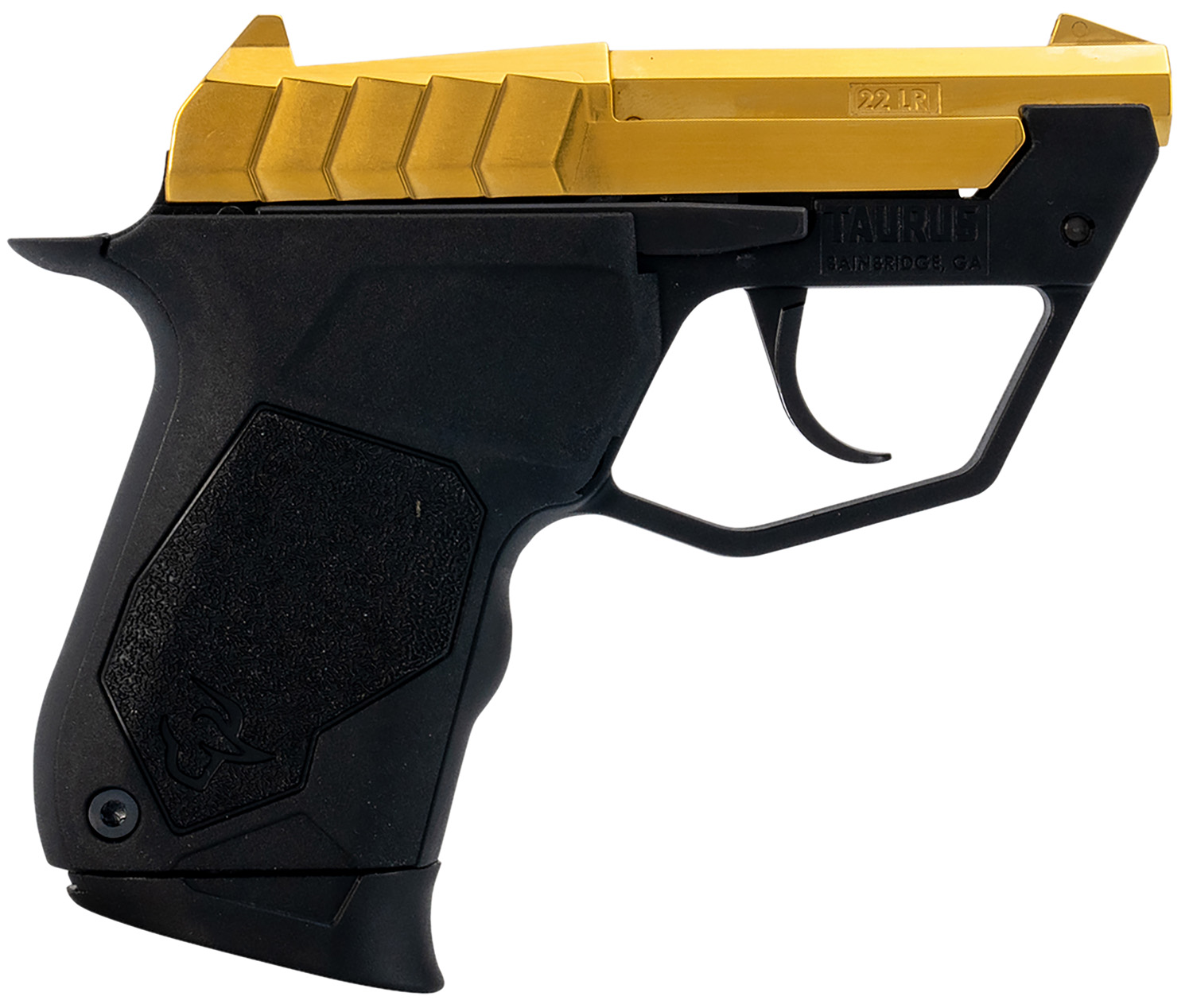 Taurus 22TUC Pistol Rental | .22 LR | 2.5in | 1-22TUC13G