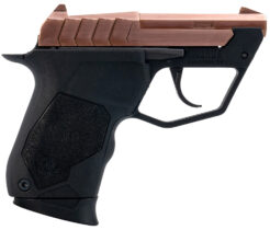 Taurus 22TUC Pistol Rental | .22 LR | 2.5in | 1-22TUC13RG