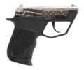 Taurus 22TUC Pistol Rental | .22 LR | 2.5in | 1-22TUC139-USFLAG