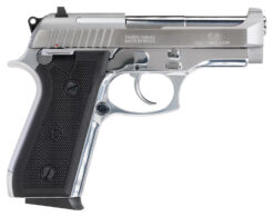 Taurus 58 Pistol Rental | .380 ACP | 4in | Matte Stainless