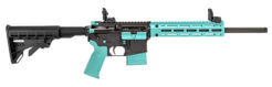 Tippmann Arms M4-22 LTE Semi-Auto Rifle Rental | .22 LR | 16in | A101334