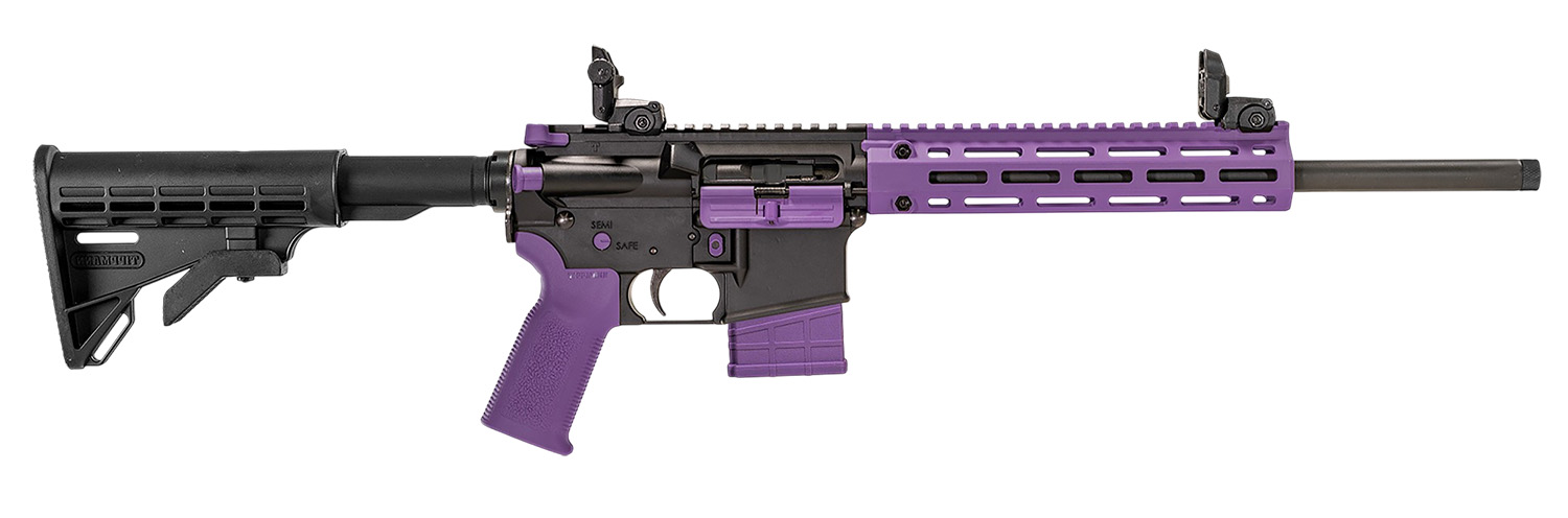 Tippmann Arms M4-22 LTE Semi-Auto Rifle Rental | .22 LR | 16in | A101222
