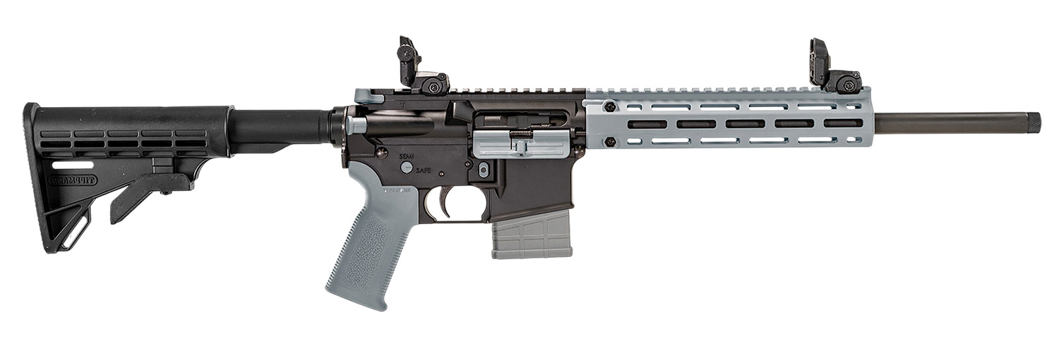 Tippmann Arms M4-22 LTE Semi-Auto Rifle Rental | .22 LR | 16in | A101337
