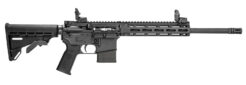Tippmann Arms M4-22 Pro Semi-Auto Rifle Rental | .22 LR | 16in