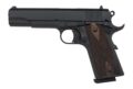 Tisas Arms 1911 A1 Stakeout Pistol Rental | .45 ACP | 5in