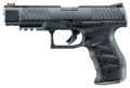 Walther Arms PPQ M2 Pistol Rental | .22 LR | 5in