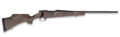 Weatherby Vanguard CTG Bolt-Action Rifle Rental | .243 Winchester