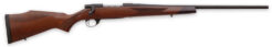 Weatherby Vanguard Sporter Bolt-Action Rifle Rental | .243 Winchester | 22in