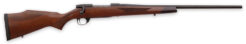 Weatherby Vanguard Sporter Bolt-Action Rifle Rental | .270 Winchester | 24in
