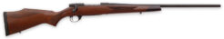 Weatherby Vanguard Sporter Bolt-Action Rifle Rental | .30-06 Springfield | 22in