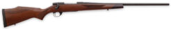 Weatherby Vanguard Sporter Bolt-Action Rifle Rental | .308 Winchester | 24in