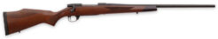 Weatherby Vanguard Sporter Bolt-Action Rifle Rental | 6.5 Creedmoor | 24in